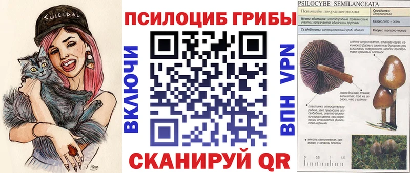 Галлюциногенные грибы прущие грибы  купить   Семилуки 